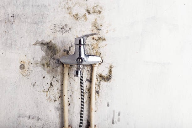 Best Water Damage Restoration  in Whitesboro, NY
