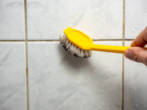 Best Attic Mold Removal  in Whitesboro, NY