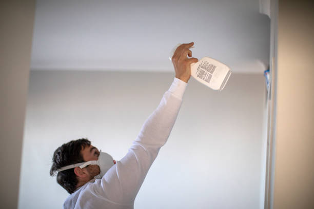 Best Residential Mold Removal  in Whitesboro, NY
