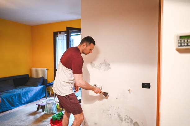 Best Black Mold Removal  in Whitesboro, NY